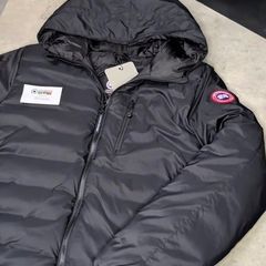 Canada goose
