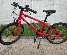 Frog 55 Bike