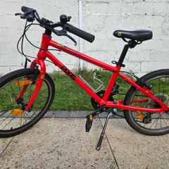 Frog 55 Bike