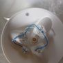 light fitting Image 7