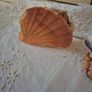 Hand crafted Oyster shell salt crock Image 4
