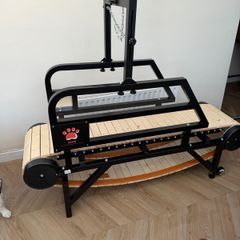 Dog Treadmill