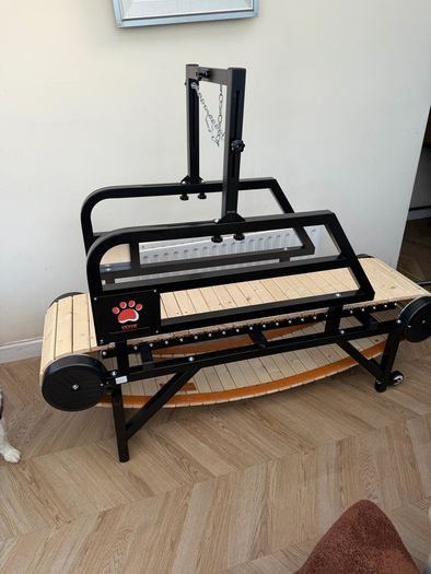 Dog Treadmill