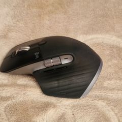 Logitech MX 3 for Mac
