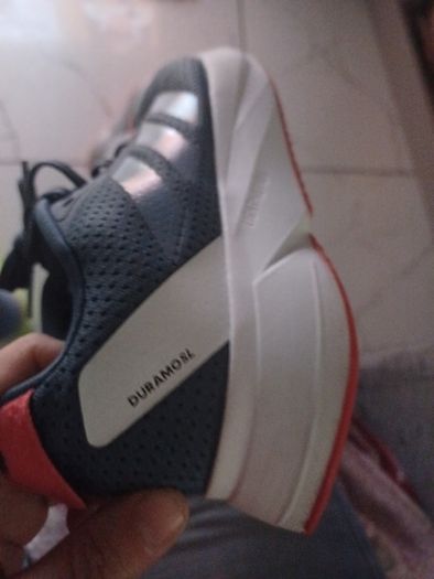 trainer/ Runners