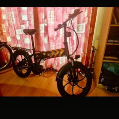 Engwe P1 Electric Folding Bike