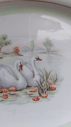 Arklow Platterwith The Swan