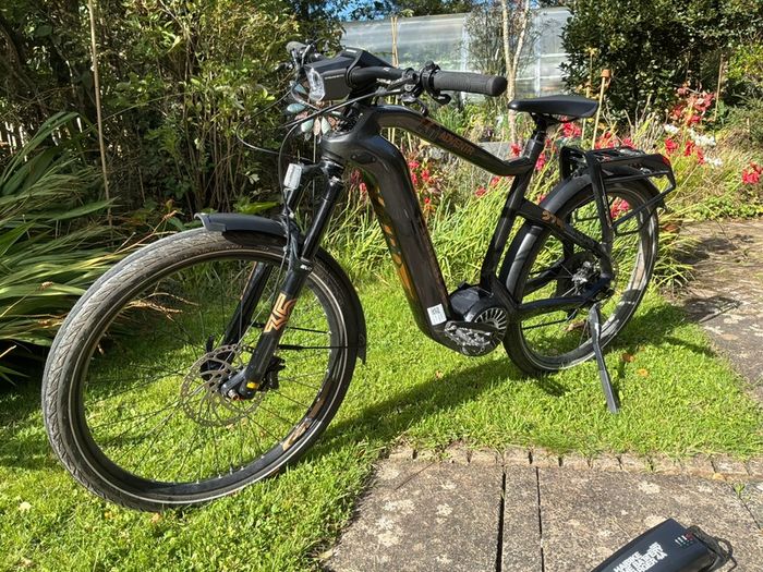 electric bike