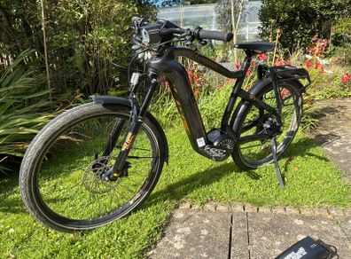 electric bike