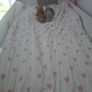 Pegasus high sleeper bunk bed Image 6