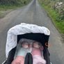 Mountain Buggy Duet Dual/Twin Carrycot Image 4