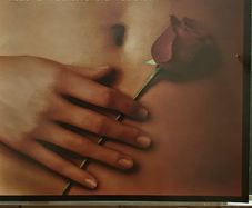 American Beauty. Soundtrack.