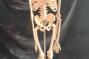 mini human anatomical skeleton model