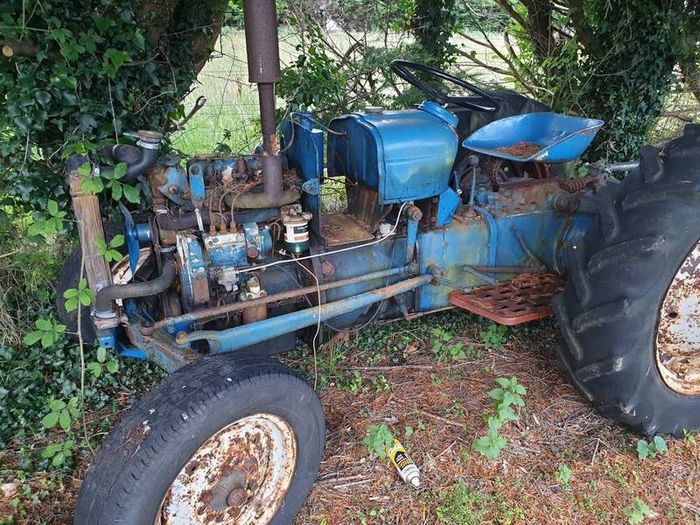 fordson dexta