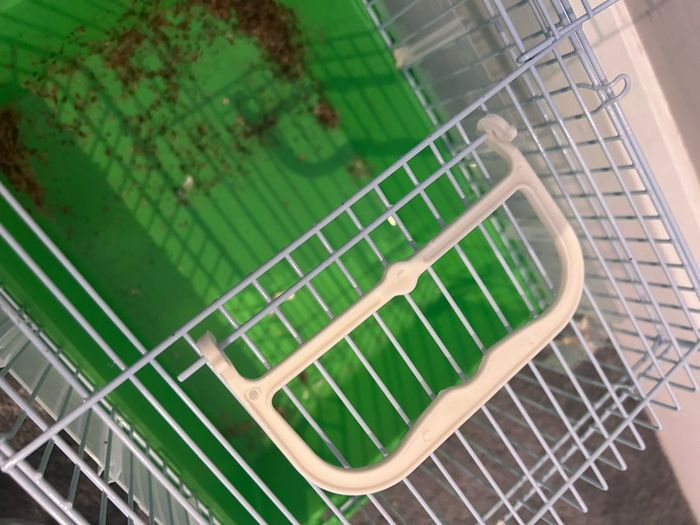 Hamster starter kit