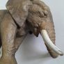 Elephant - Schleich - 2004 Image 3