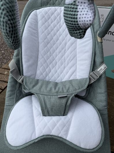 Nested Gravity Wooden Baby Bouncer Sage Green