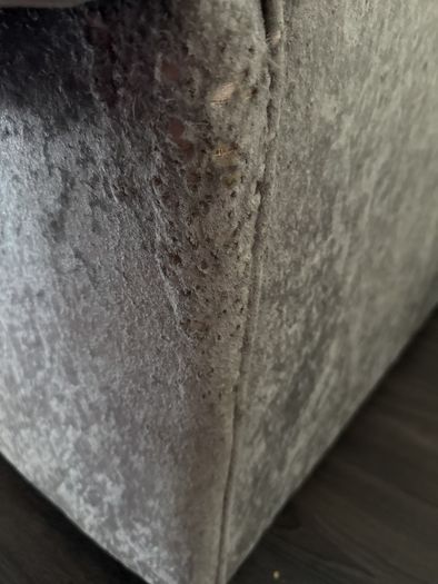 Sofa Couch and Armchair
