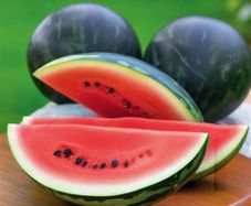(W) Watermelon Little Darling H seeds (5s) (125555)