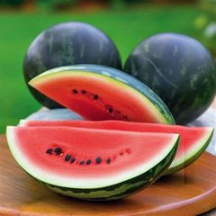 (W) Watermelon Little Darling H seeds (5s) (125555)