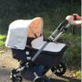 bugaboo pram Image 2