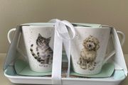 Cute Cups
