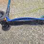 scoter Image 2