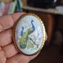 Vintage 'Countess' bone china peacock cameo brooch Image 3