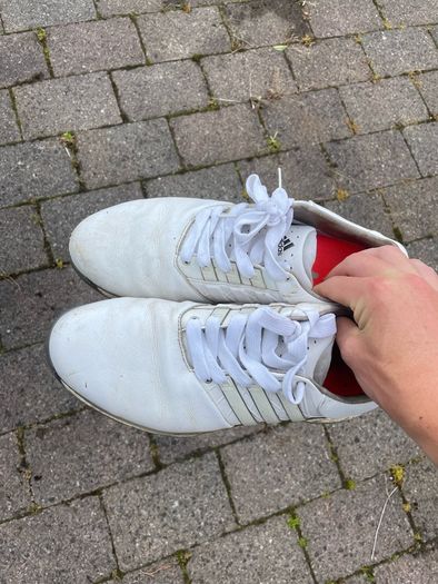 Adidas Golf Shoes