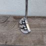Putting with Balls Image 10
