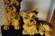 2 Yorkshire Terriers