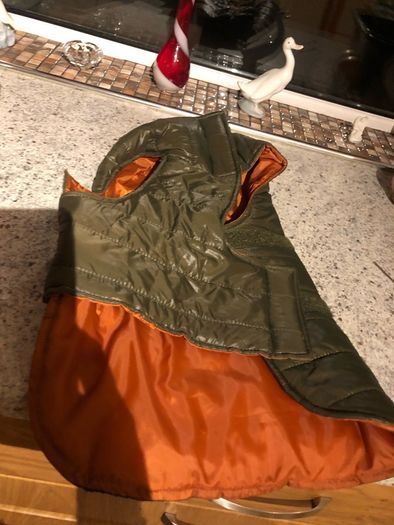 Dogs BNWT green velcro gillet size M