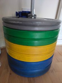 Female barbell(15kg)  plus 100kg of coloured bumper plates