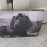 Country Matters Working Dogs placemats Image 3