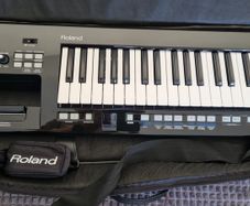 Roland Lucina & mixer Peavey PV 10BT