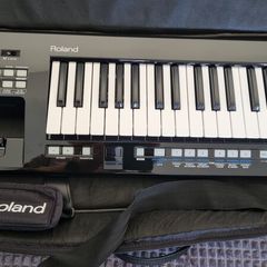 Roland Lucina & mixer Peavey PV 10BT