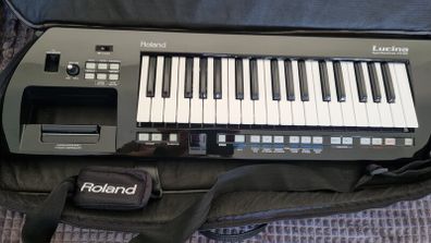 Roland Lucina & mixer Peavey PV 10BT