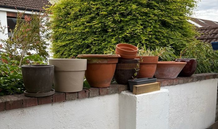Selection of Flower Pots