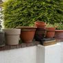 Selection of Flower Pots Image 3