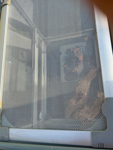 Glass Vivarium