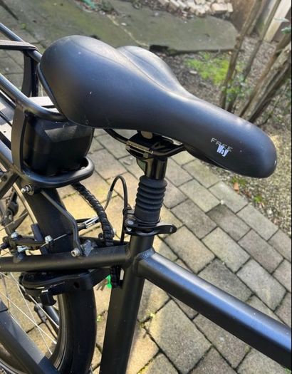 Electric Bike