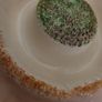 Vintage sylvac flower centrepiece/serving dish Image 3