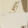 Vintage plates Image 5