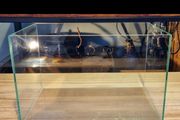Pure View Aquarium 25 Litre