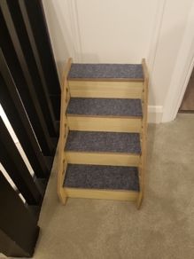 small dog / cat steps