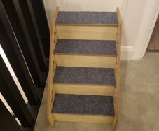 small dog / cat steps