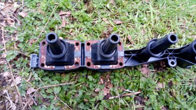 coil pack Peugeot 1,6 petrol