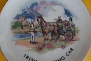 Lovely vintage Irish Jaunting car and horse