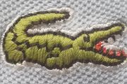 lacoste polo shirt
