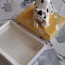 Cheese Dish Holder Image 7